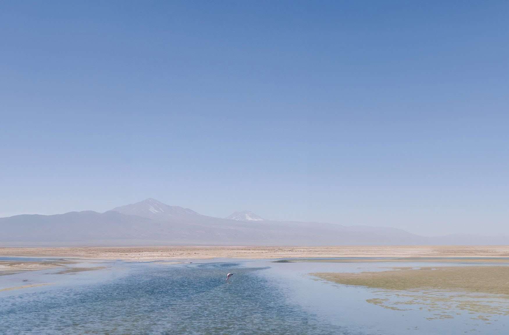 Eine weite Wüstenlandschaft, in der sich ein flacher, breiter See gebildet hat. Inmitten des Sees steht ein einzelner Flamingo. Im Hintergrund sind die Spitzen der Anden in der Atacama-Wüste zu sehen.