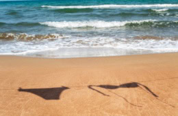 Auf dem Sand eines sommerlichen Strands ist der Schatten eines Bikinis an einer Wäscheleine zu sehen.