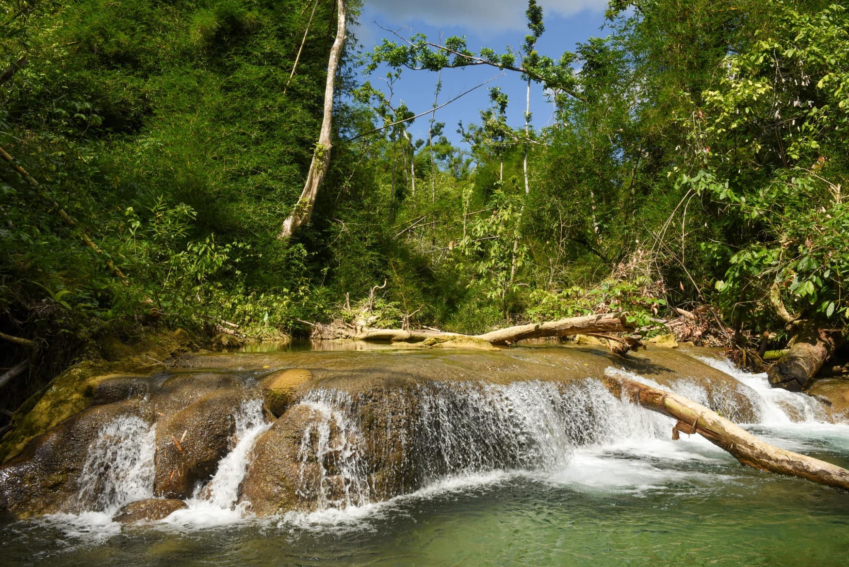 Ein breiter, flacher Wasserfall fließt in einem tropischen Wald in Richtung des Betrachters.