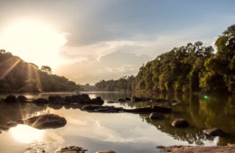 Naturparadies an der Elfenbeinküste