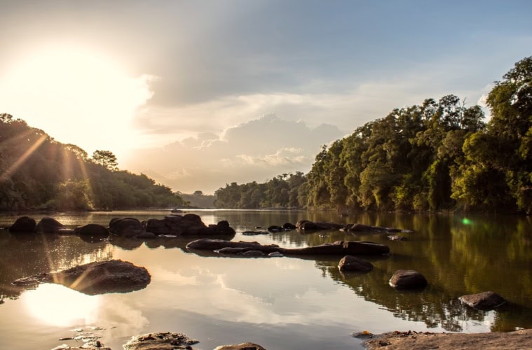 Naturparadies an der Elfenbeinküste