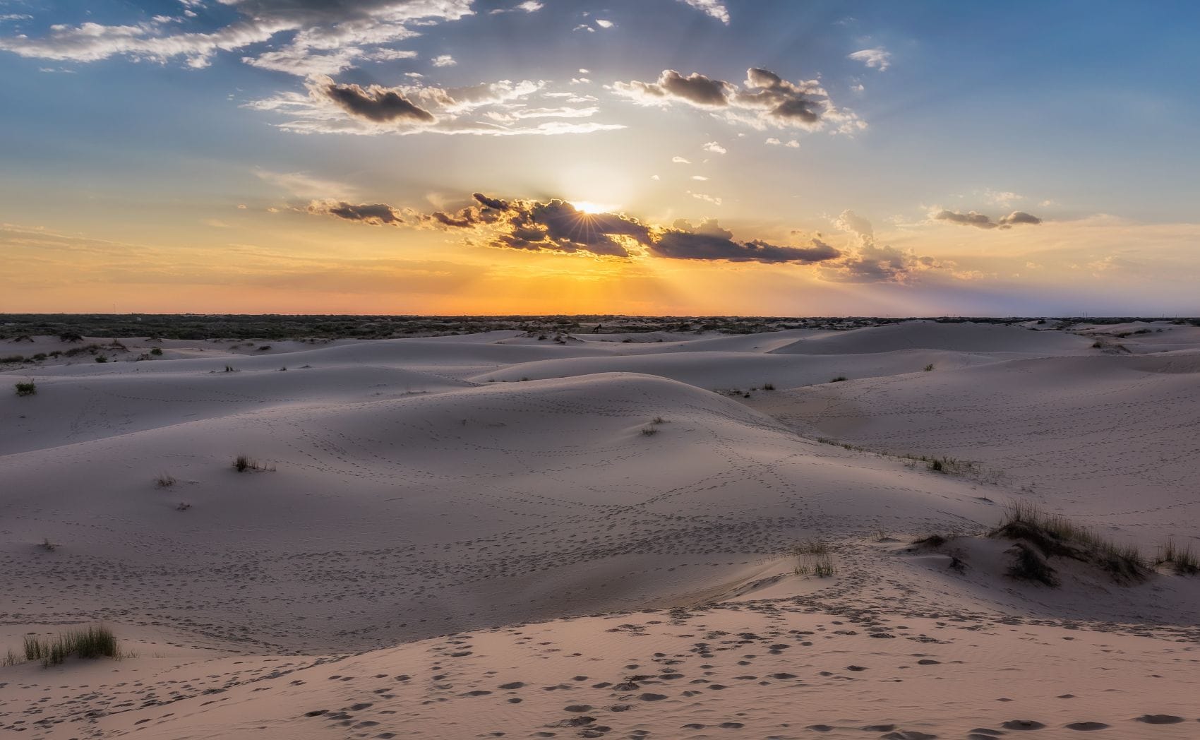 Sanddünen im Monahans Sandhills State Park in Texas während eines Sonnenuntergangs.