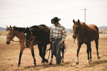 Cowboy führt drei Pferde über ein Ranchgelände in Texas.