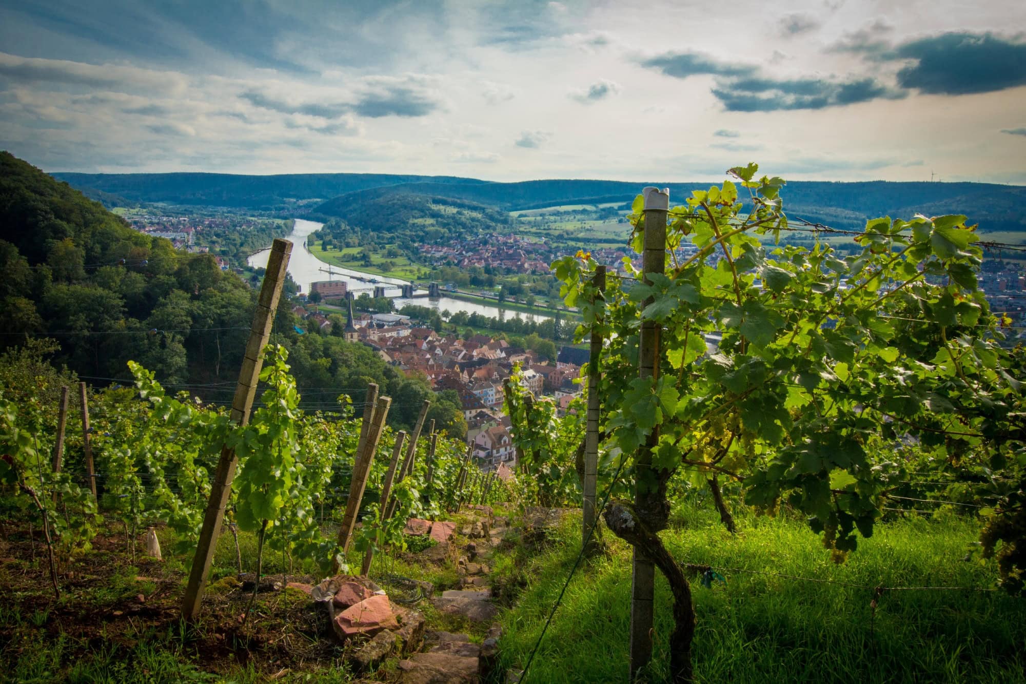 Wein-Wandern-Wonne-Warum-Churfranken-nicht-mehr-lange-ein-Geheimtipp-bleibt