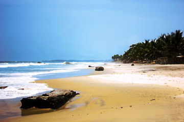 Palmen und heller Sandstrand an der Atlantikküste der Elfenbeinküste nahe Assinie.