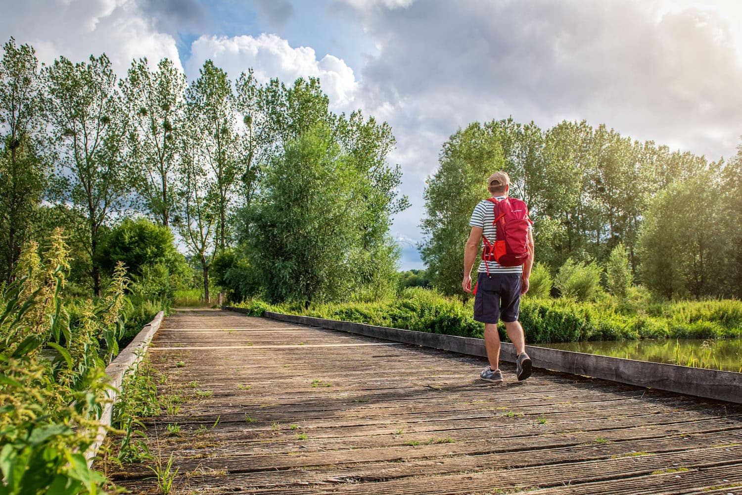 Ein Mann in sommerlicher Outdoorkleidung und mit einem roten Rucksack auf dem Rücken wandert über einen Holzsteg, der durch eine grüne Landschaft führt.
