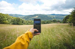 Eine Hügellandschaft mit gelben Feldern und grünen Wäldern. Eine Person hält ein Smartphone vor die Kamera und nimmt ein Foto auf.