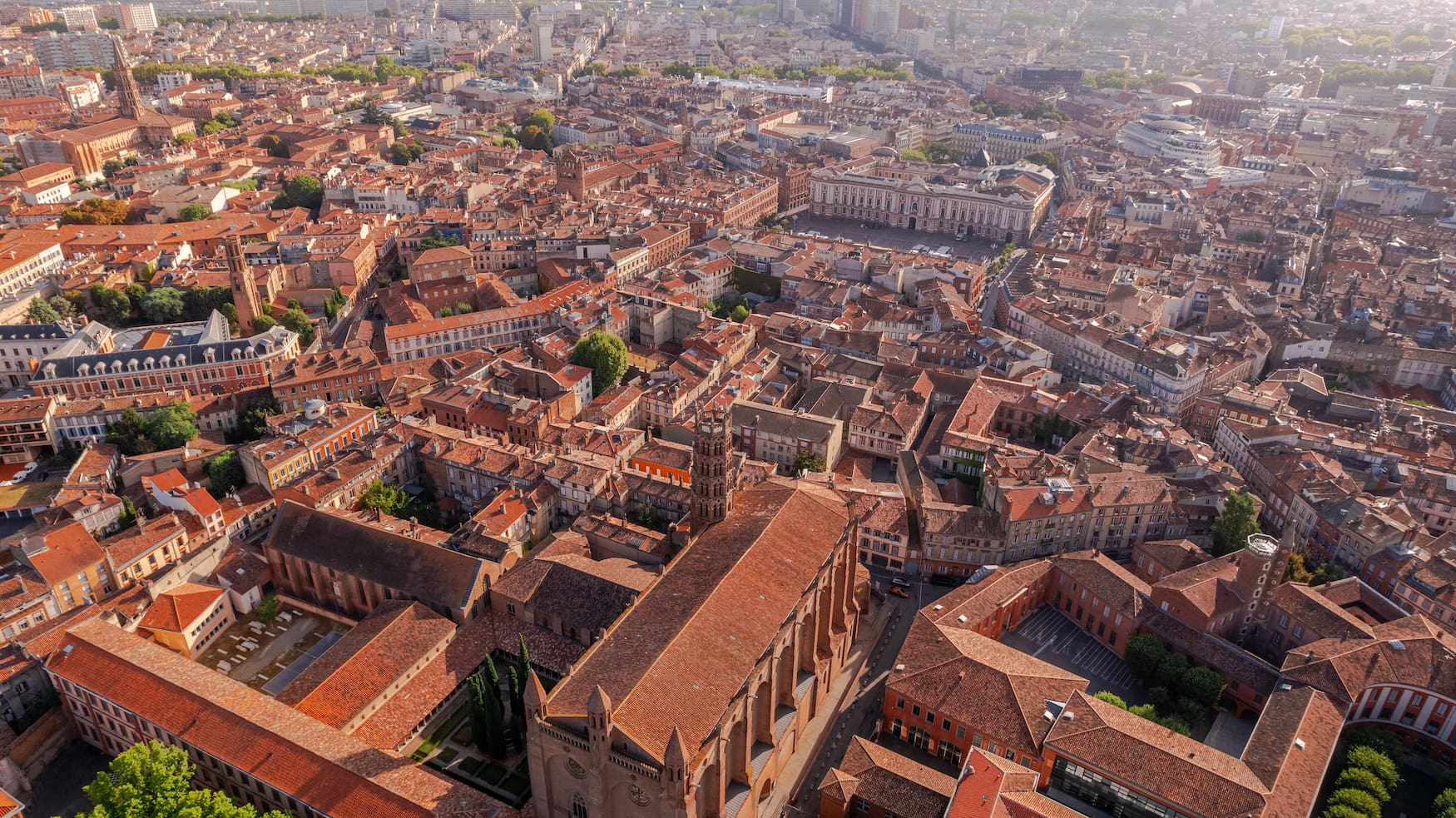 Toulouse-und-das-blaue-Gold-Wie-eine-Pflanze-die-Stadt-reich-machte