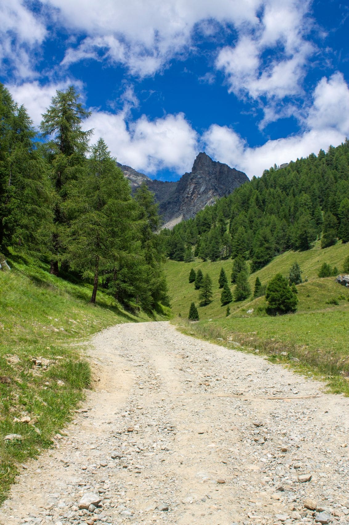 Wanderweg im Pejo-Gebirge im Trentino 