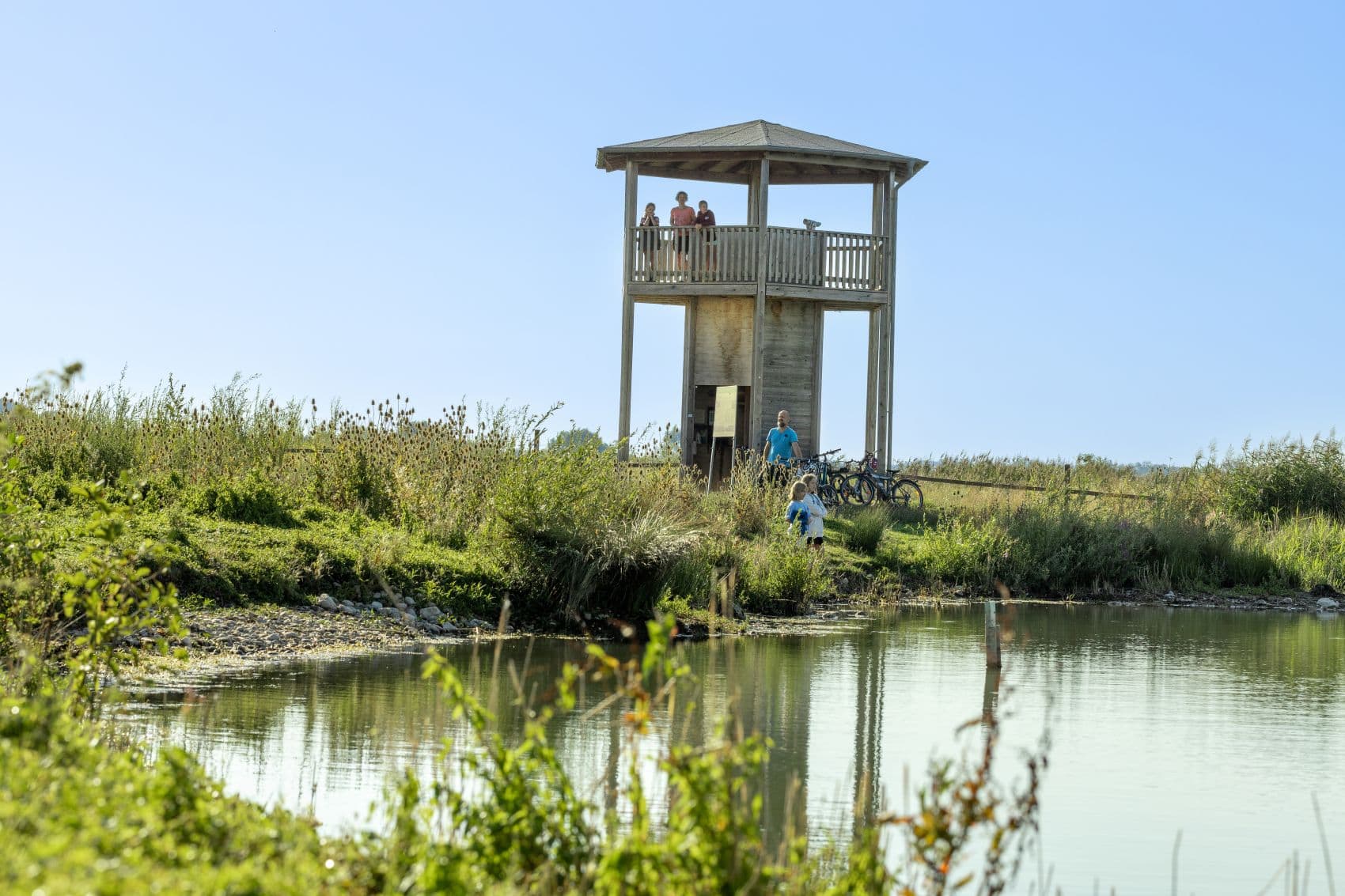 Ein hölzerner Beobachtungsturm im Donaumoos bei Günzburg bietet Ausblicke über Wasserflächen und die Feuchtlandschaft.