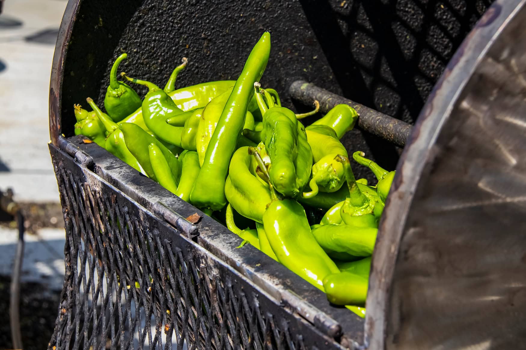 Frische grüne Hatch-Chiles in einer Rösttrommel, bereit zum Rösten über offener Flamme