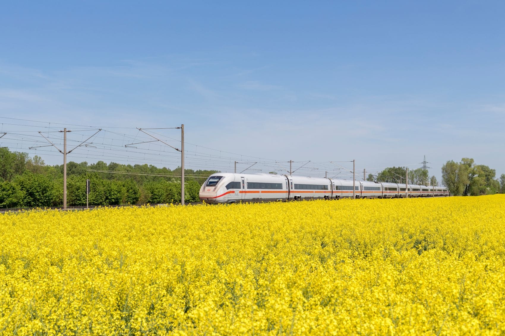 Ein ICE der Deutschen Bahn fährt an einem blühenden Rapsfeld in Bayern vorbei.
