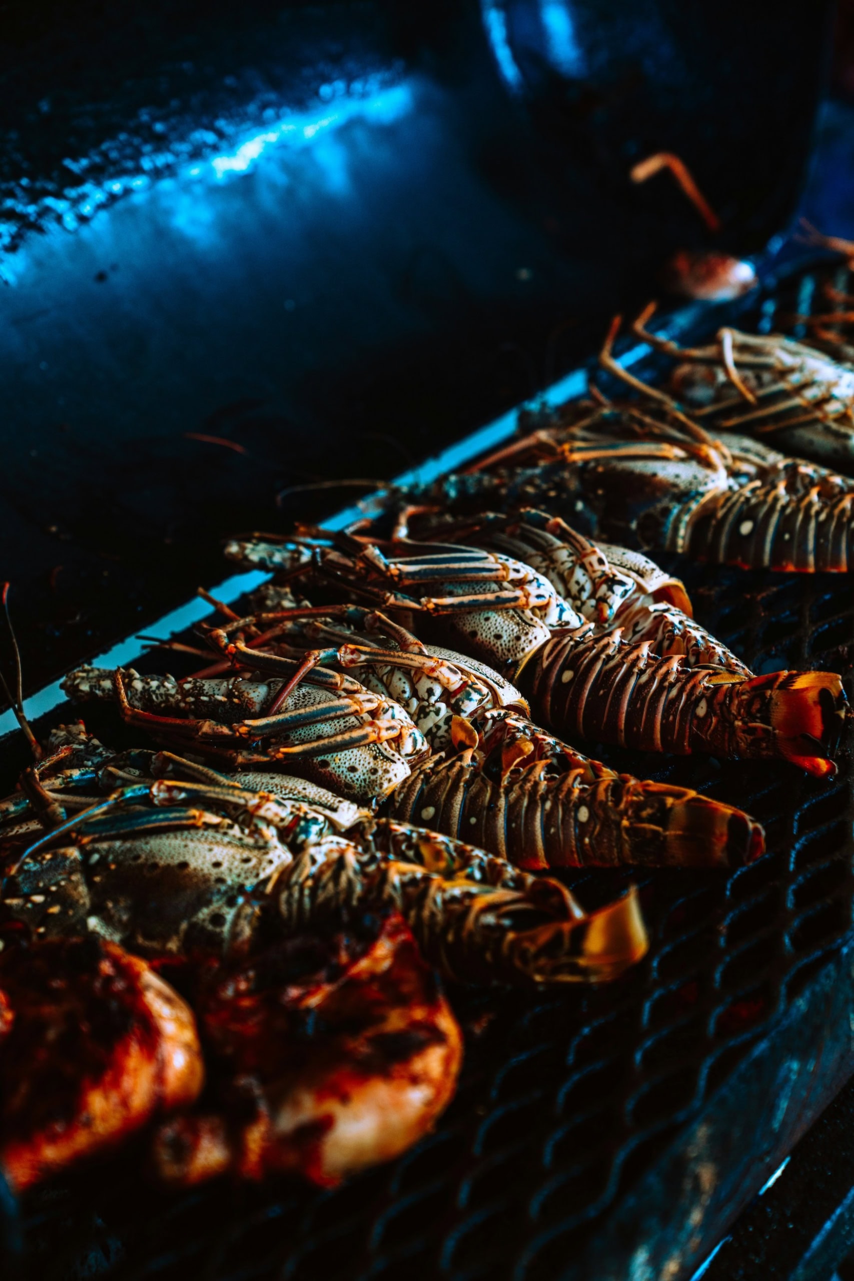 Halbierte Langusten auf einem Grill in warmem Abendlicht