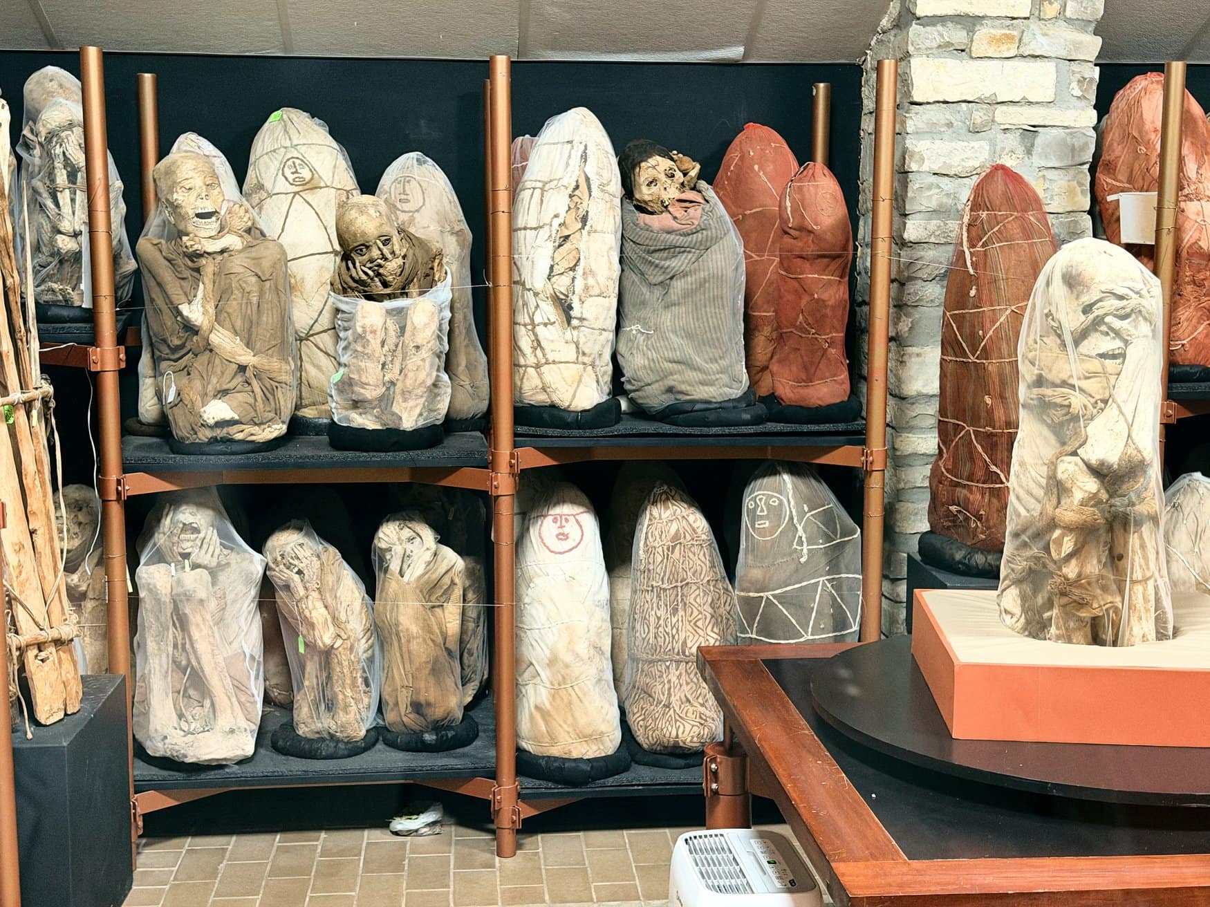 Regale mit zahlreichen Mumienbündeln der Chachapoya in einem Museum. Die in Tücher gehüllten Bestattungen stehen auf gepolsterten Sockeln vor einer dunklen Wand.