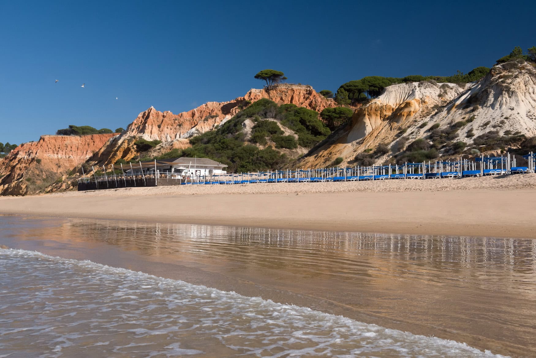 Strand Praia da Falésia beim Pine Cliffs Resort an der Algarve mit roten Klippen, Pinien und Sonnenschirmen.