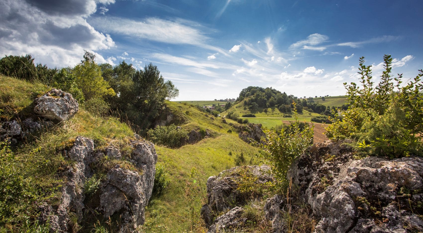 Blick über die felsige Landschaft des UNESCO Global Geopark Ries in Bayerisch-Schwaben mit Wiesen, Bäumen und Kalkfelsen.