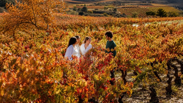 Mehr als Wein: Das macht eine Reise in die Rioja so besonders