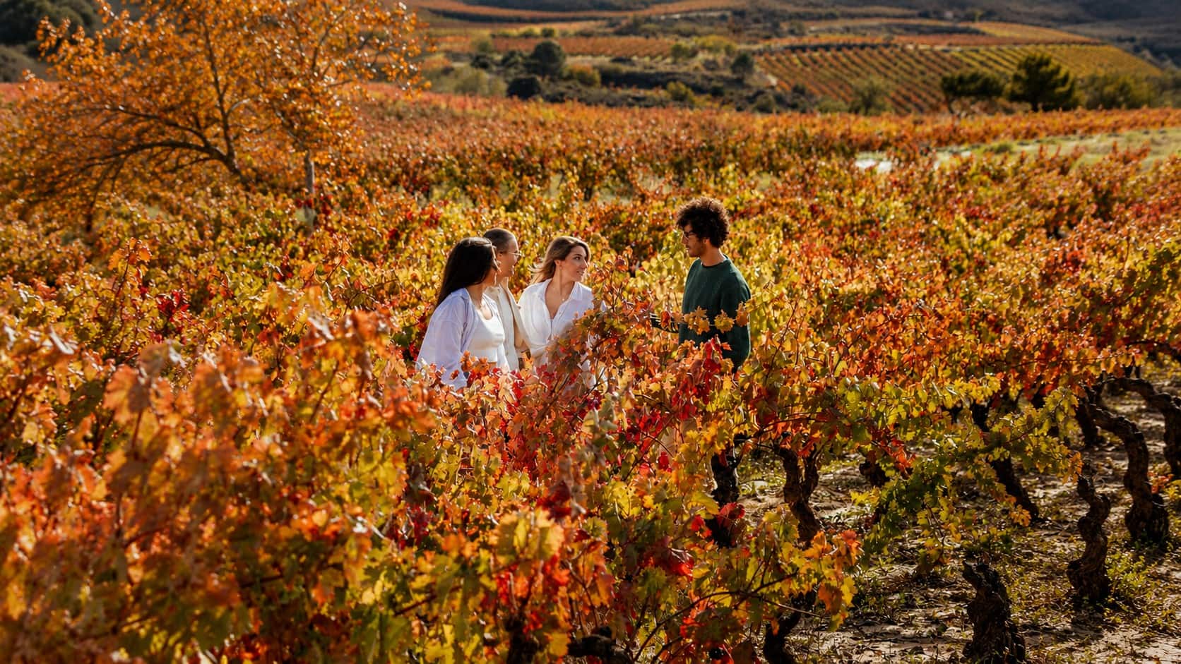 Mehr-als-Wein-Das-macht-eine-Reise-in-die-Rioja-so-besonders