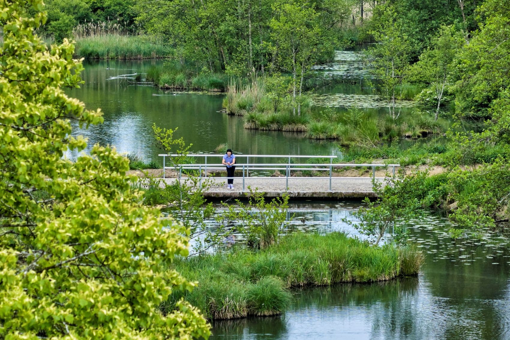 Blick über den Salzweiher bei Autenried in Bayerisch-Schwaben mit Steg, Wasserflächen, Schilfinseln und dichtem Baumbestand.
