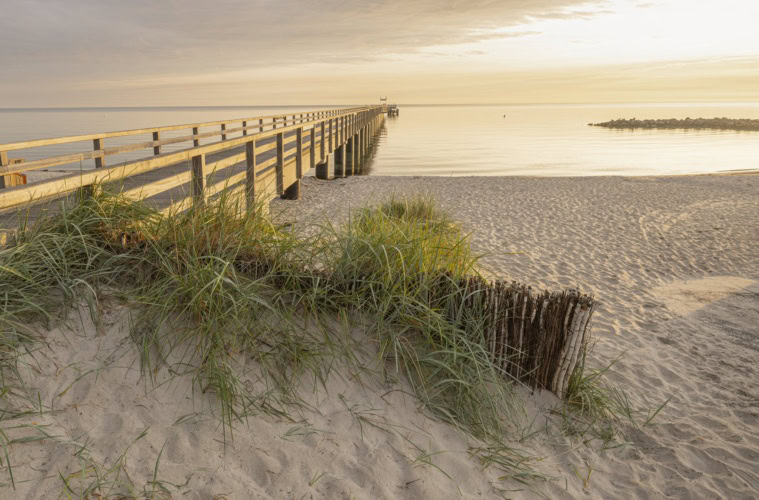 Die hölzerne Seebrücke von Schönberg reicht bei warmem Licht ins ruhige Meer. Im Vordergrund wächst Strandhafer auf der Düne neben einem Birkenzaun.