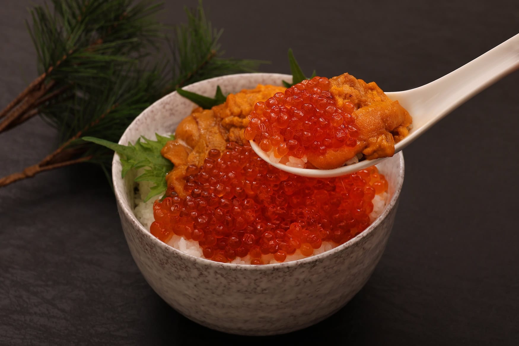 Schale Reis mit frischem Seeigel und Lachsrogen, ein Löffel hebt eine Portion an, japanisches Uni-Ikura-Donburi