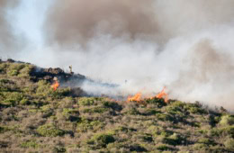 Ein Waldbrand in Andalusien (Archivbild).