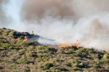 Ein Waldbrand in Andalusien (Archivbild).