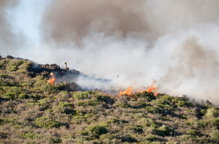 Ein Waldbrand in Andalusien (Archivbild).