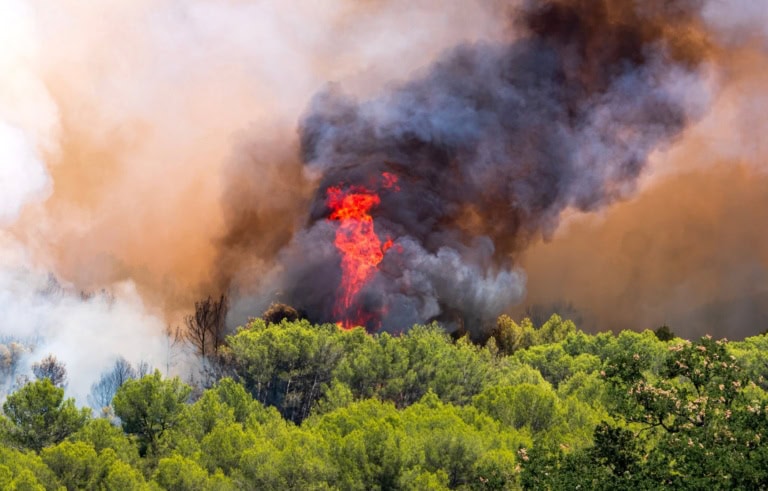 Waldbrände in Spanien und Frankreich: Was Urlauber aktuell wissen müssen