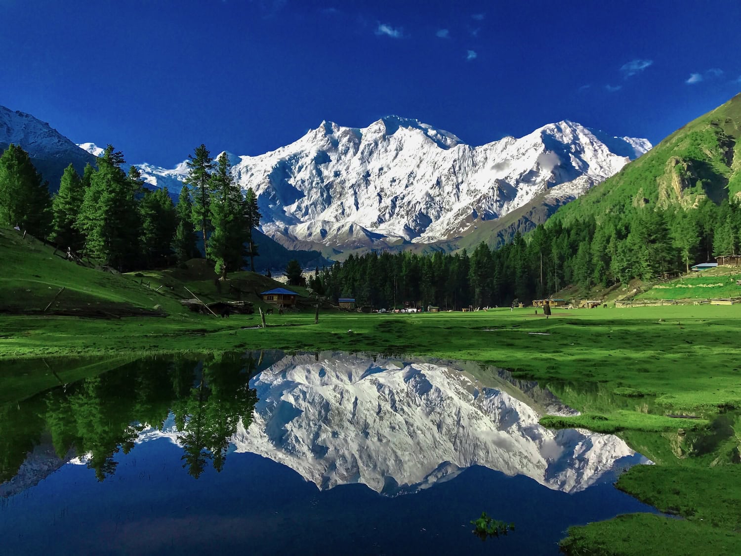 Idyllische Fairy Meadows am Basislager des Nanga Parbat, Pakistan. Im Hintergrund erhebt sich der majestätische Nanga Parbat, der neunthöchste Berg der Welt, dessen schneebedeckter Gipfel im Sonnenlicht glänzt.