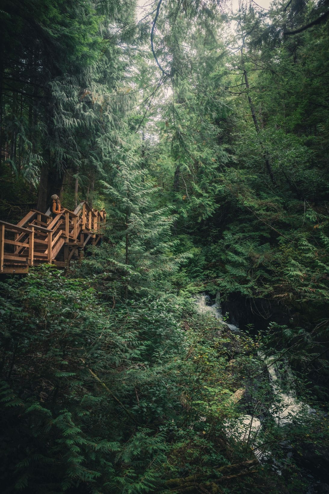 Wald an der Wahous Wilderness Lodge