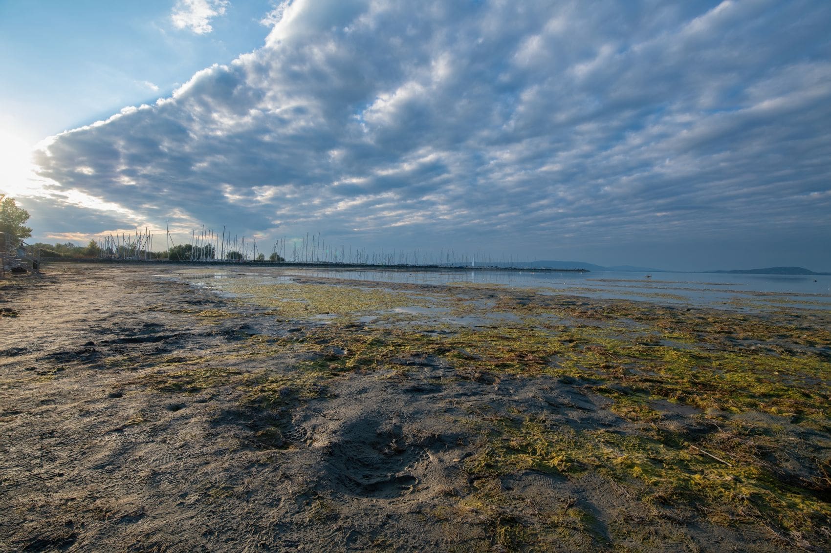 Trockengefallene Uferzone am Balaton im Oktober 2025 mit Schlick und Wasserpflanzen.