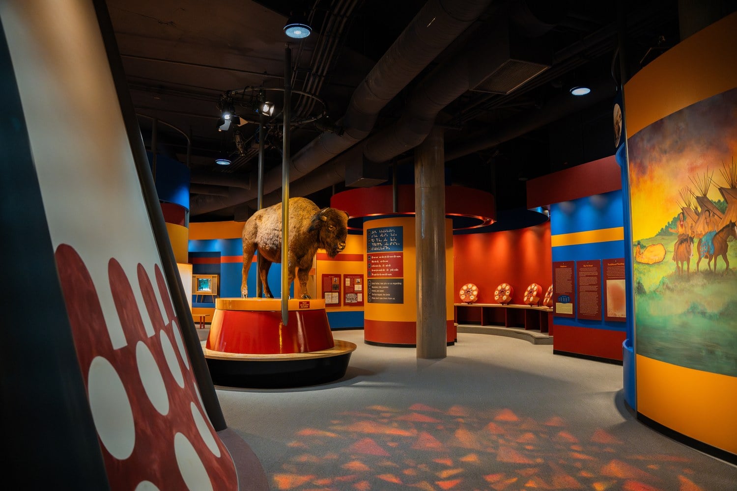 Farbenfroher Ausstellungsraum im Blackfoot Crossing Historical Park in Siksika mit Bisonpräparat auf rotem Podest und bemalten Schautafeln