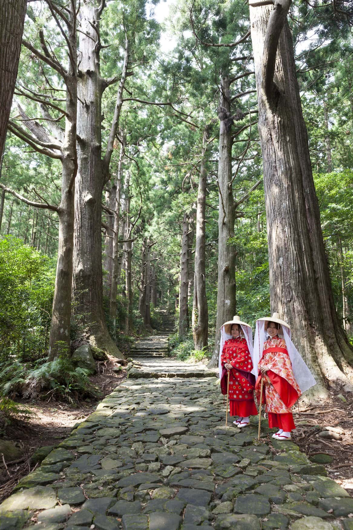 Zwei Pilgerinnen in rot-weißer traditioneller Kleidung mit Strohhüten stehen an einem gepflasterten Weg durch einen alten Zedernwald am Daimonzaka auf der Nakahechi-Route des Kumano Kodo.