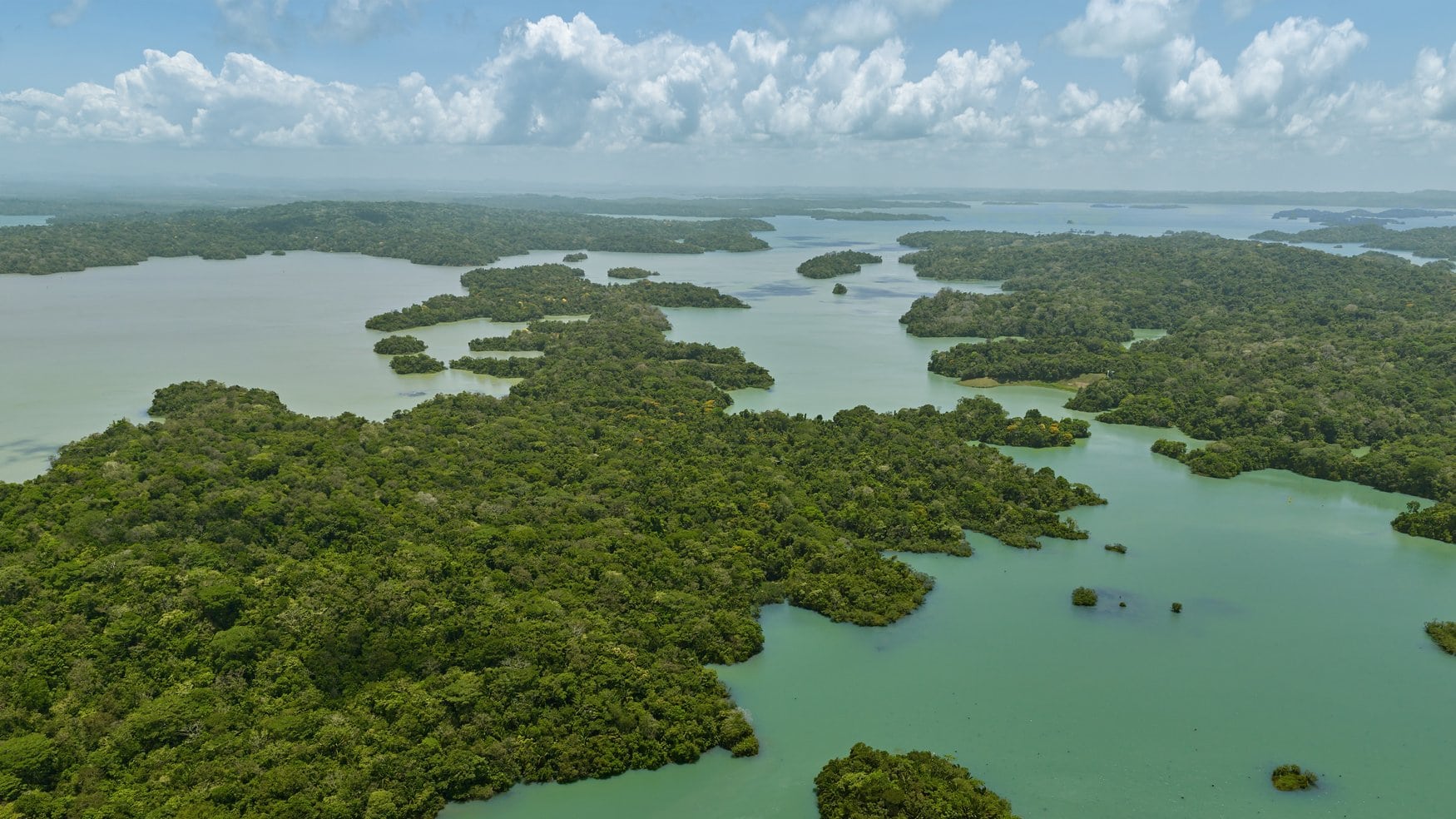 Luftaufnahme des Gatúnsees am Panamakanal mit dicht bewaldeten Inseln, zwischen denen sich verzweigte Wasserflächen bis zum Horizont ziehen.