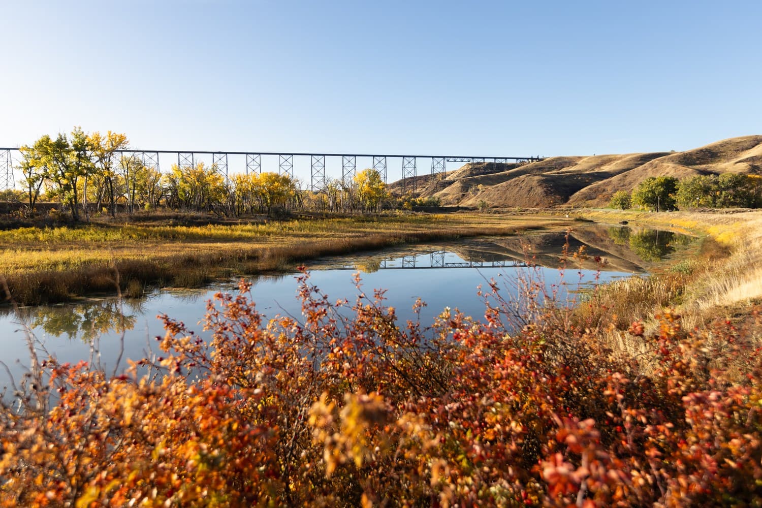Die stählerne High Level Bridge spannt sich im Herbst über das Tal des Oldman River in Lethbridge, im Vordergrund rot gefärbtes Buschwerk am Wasser