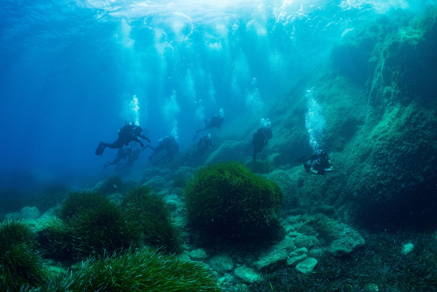 Eine Gruppe von Tauchern schwebt über einem felsigen Meeresboden vor Elba. Zwischen den Steinen wachsen Büschel von Neptungras, von oben fällt Sonnenlicht durch das Wasser.