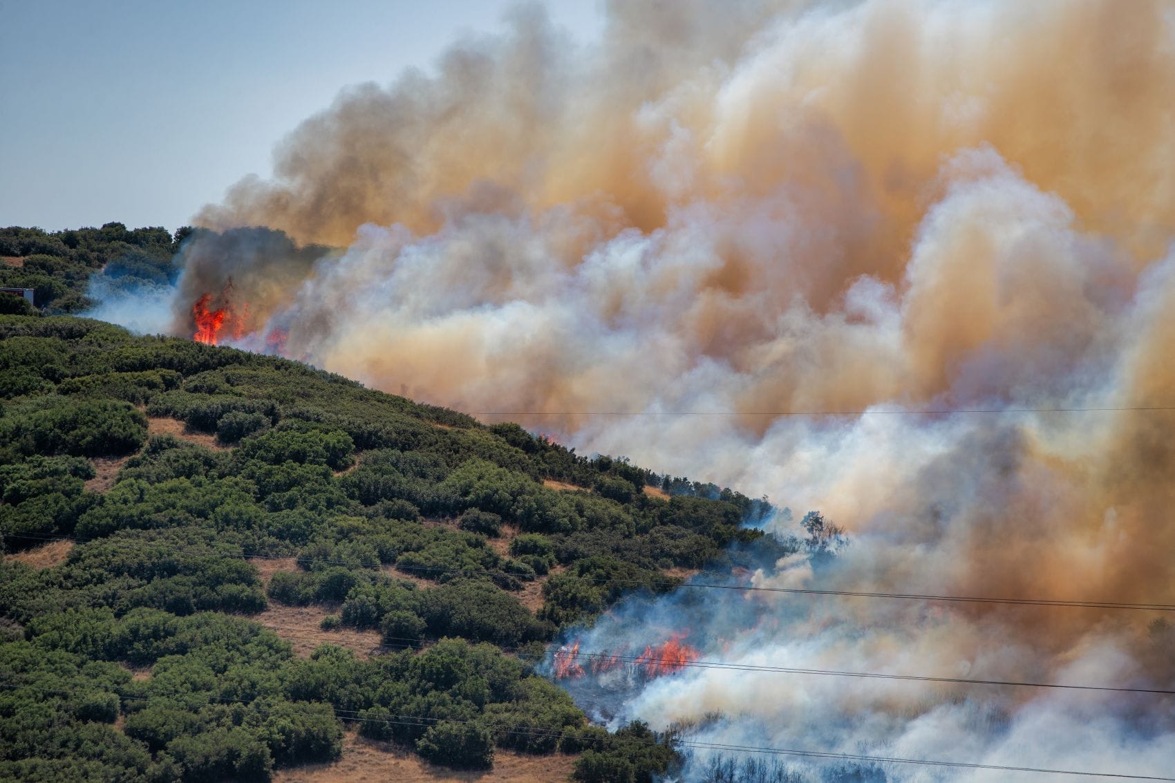 Rauch und Flammen bei einem Waldbrand an einem bewaldeten Hügel bei Derveni in Westattika, Griechenland.