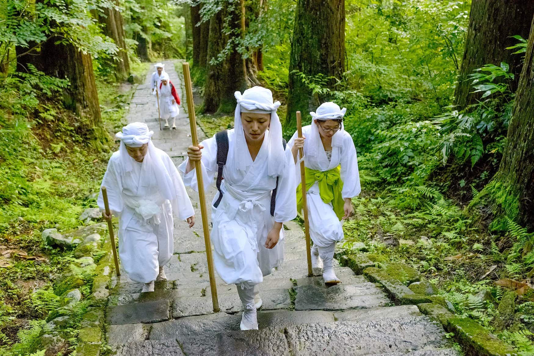 Drei Yamabushi in weißer Kleidung steigen mit Holzstäben eine steinerne Treppe durch dichten Wald hinauf, im Dewa Sanzan in der Präfektur Yamagata.