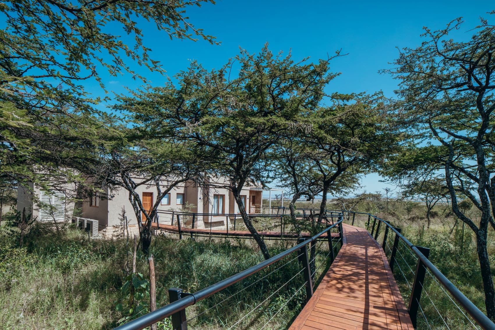Zamara Private in Kenia mit Holzsteg zwischen Bäumen und Lodge-Gebäuden