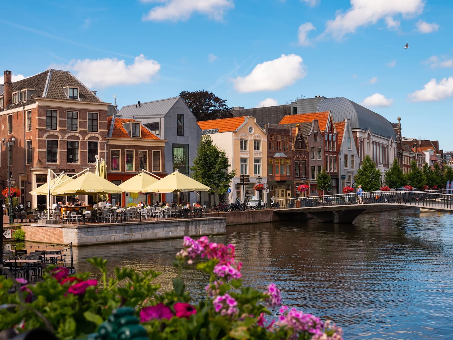 Leiden in den Niederlanden: 13 Tipps für die Stadt von Rembrandt