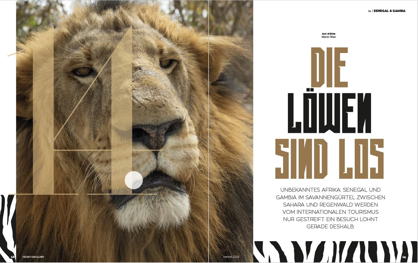 Senegal und Gambia, Die Löwen sind los