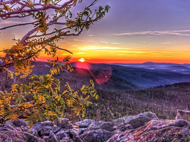 Nebelmeer mit Alpenblick: Was dich im Herbst im Bayerischen Wald erwartet