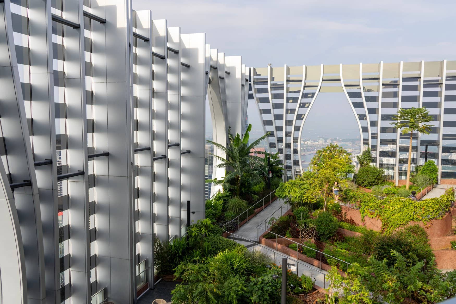 Blick von oben auf einen bepflanzten Dachgarten zwischen den geschwungenen Fassaden eines Hochhauses in Singapur. Schmale Wege führen durch terrassierte Beete mit Bananenstauden und Papayabäumen, dahinter Hafen und Skyline.