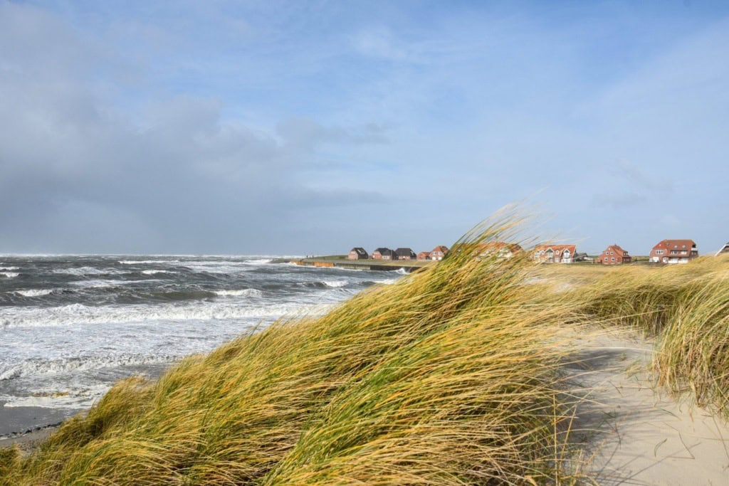 Windgebeugtes Strandhafergras auf einer Düne auf Baltrum, links schlägt die Brandung an den Strand. Am Horizont stehen rote Backsteinhäuser hinter einer Buhne.