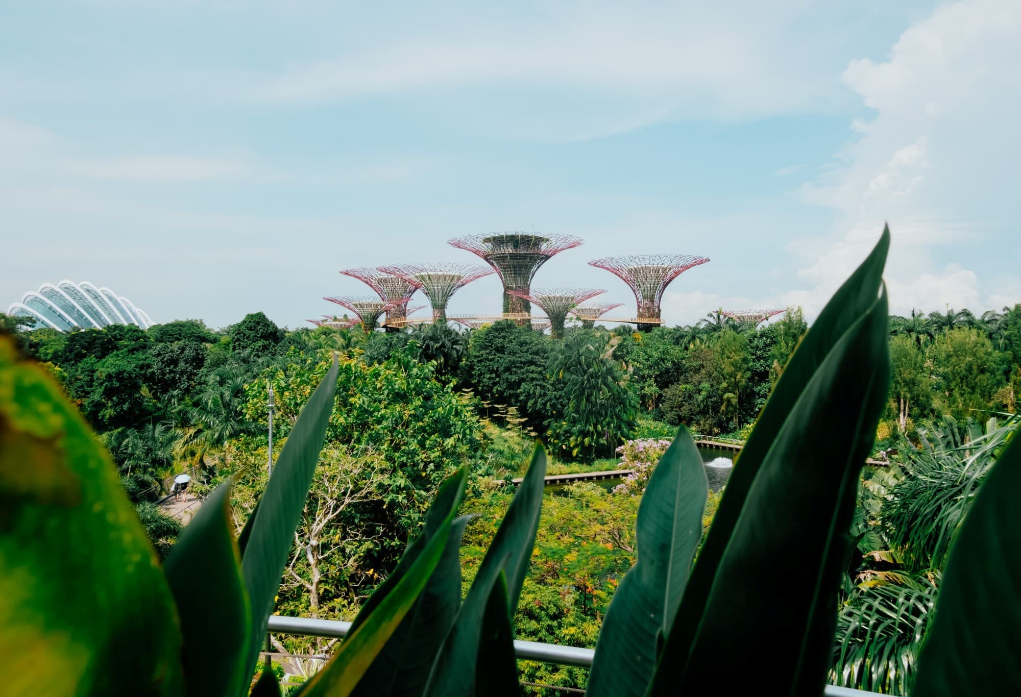 Grünes Singapur: Wie der dichtest besiedelte Stadtstaat zum Naturvorbild wird