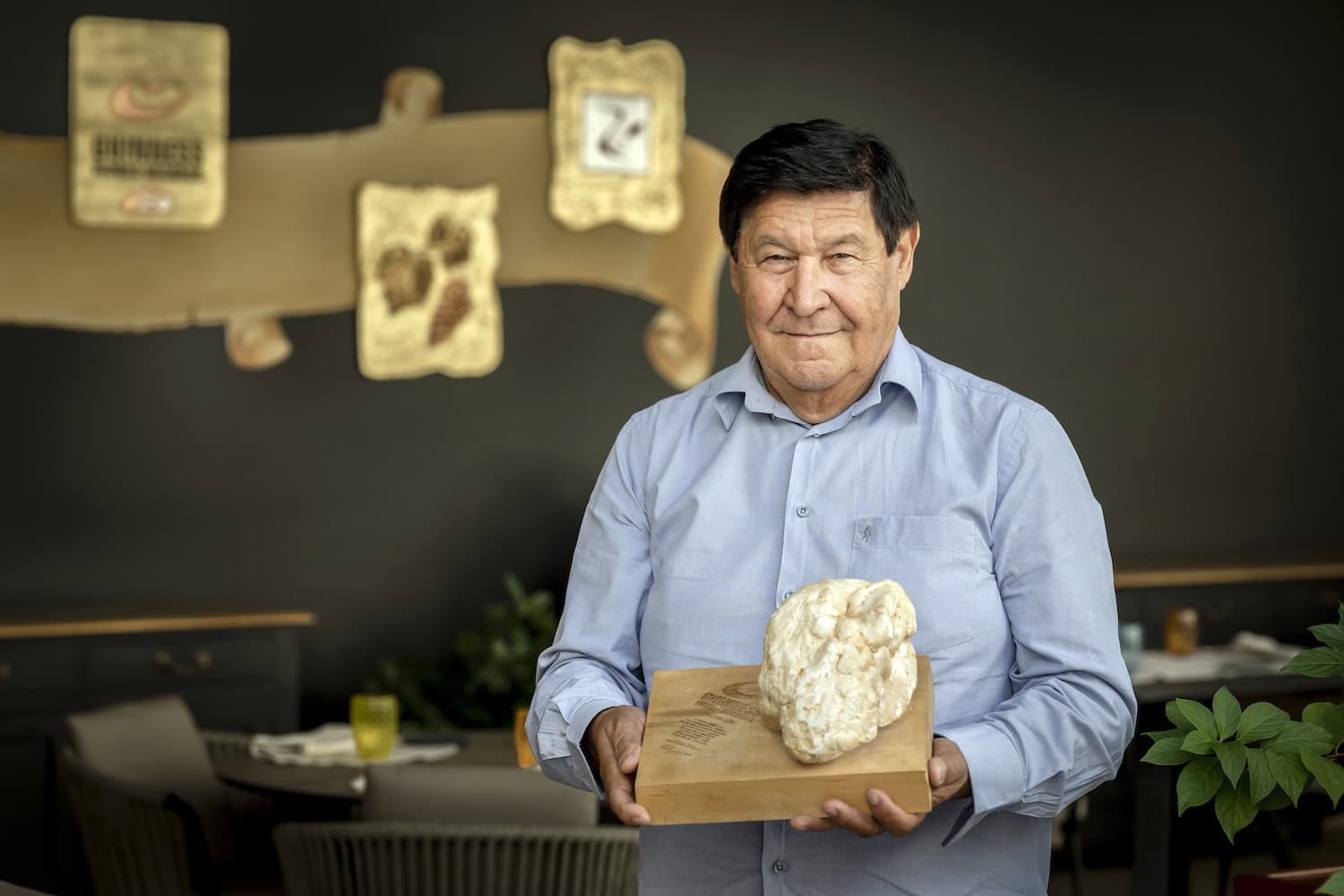 ZIGANTE, Inhaber Giancarlo Zigante mit einem Gipsabdruck von dem größten gefunden weißen Trüffel.