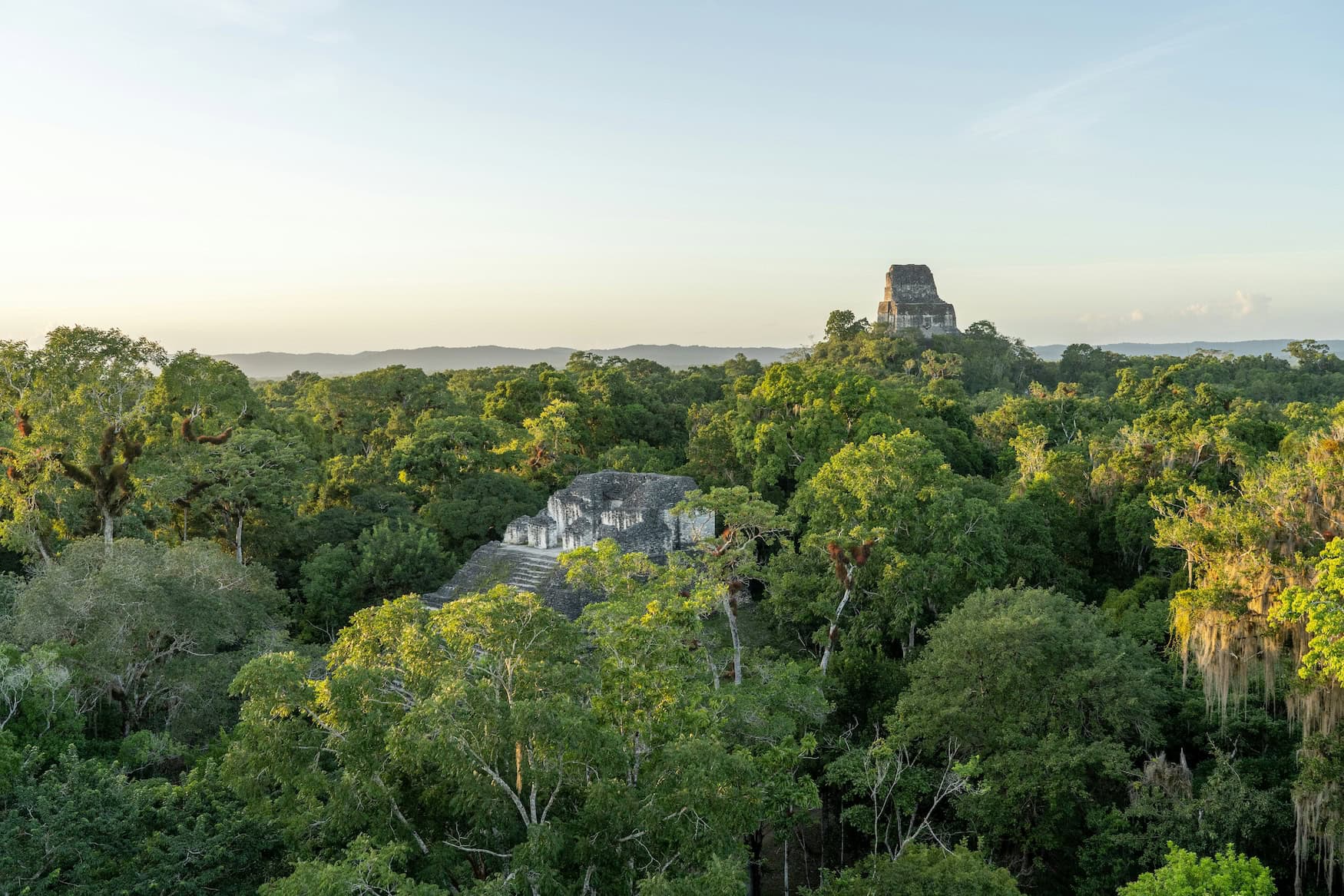 Die Tempelpyramiden von Tikal ragen im Morgenlicht aus dem Regenwald des Petén in Guatemala.