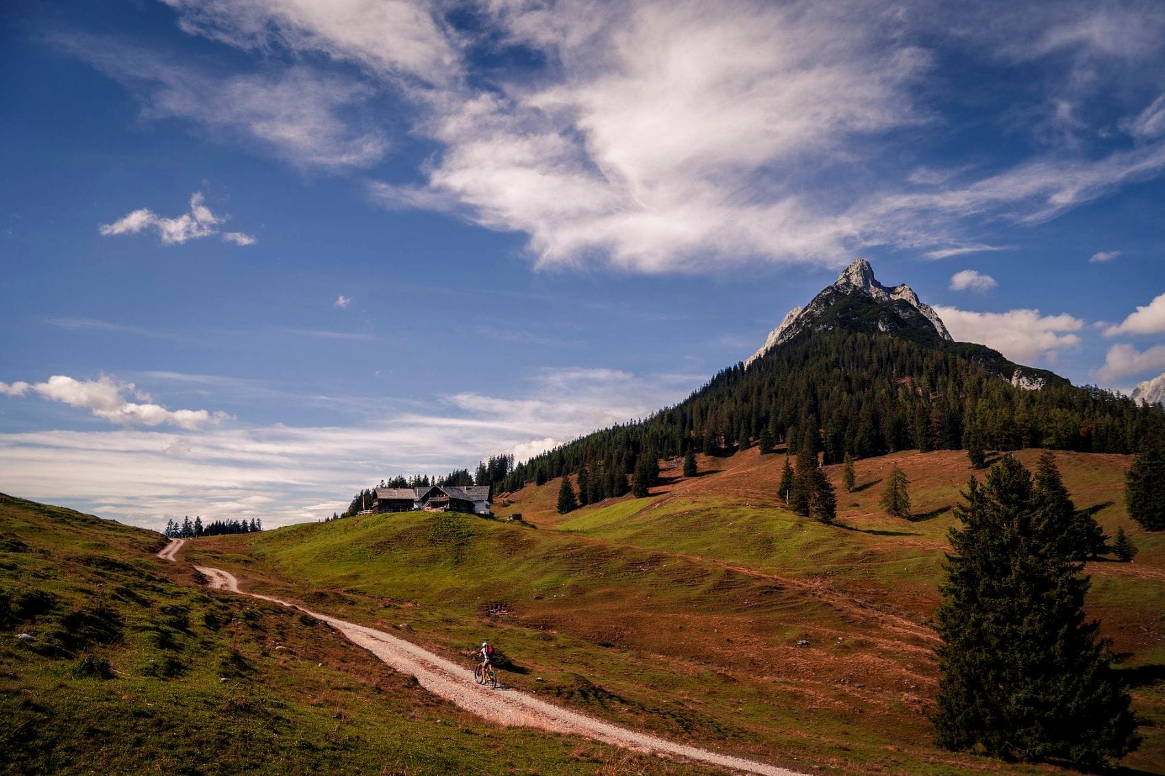 Herbstliche Landschaft an der Walderalm mit Blick auf den Hundskopf in der Region Hall-Wattens