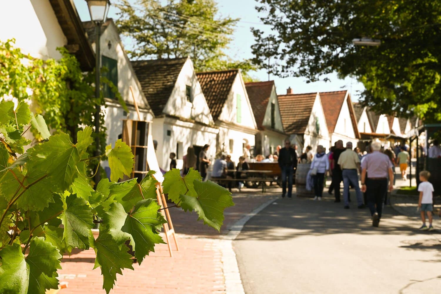 Besucherinnen und Besucher schlendern bei einem Kellergassenfest im Weinviertel zwischen Presshäusern mit Steildächern, im Vordergrund Weinlaub.